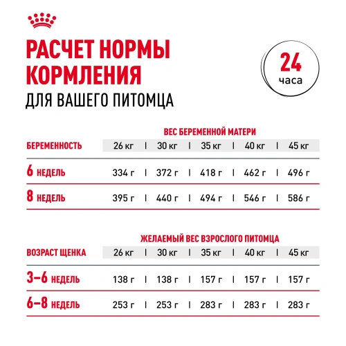 Сухой корм Royal Canin Maxi Starter для щенков крупных пород, беременных и кормящих 4 кг