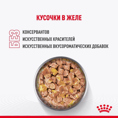 Влажный корм Royal Canin Kitten Sterilised, корм для стерилизованных котят в желе, 28*85 г