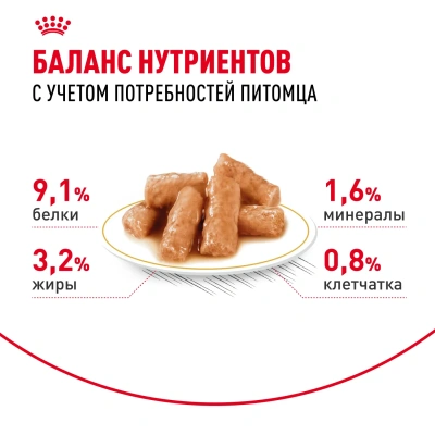 Royal Canin British Shorthair Консервированный корм для взрослых кошек породы Британская короткошерстная, 85 г