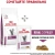 Сухой корм для кошек Royal Canin Renal Feline при хронической почечной недостаточности 0,4 кг