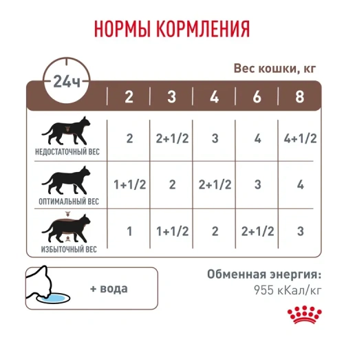 Влажный диетический корм для кошек Royal Canin Gastro Intestinal кусочки в соусе, 85 г