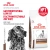 Сухой корм Royal Canin GASTROINTESTINAL для собак при нарушении пищеварения, 2 кг. Сухой корм Royal Canin GASTROINTESTINAL для собак при нарушении пищеварения, 2 кг.