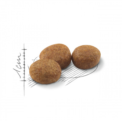 Royal Canin Sterilised 37 Сухой корм для стерилизованных кошек, птица и рис 400 г