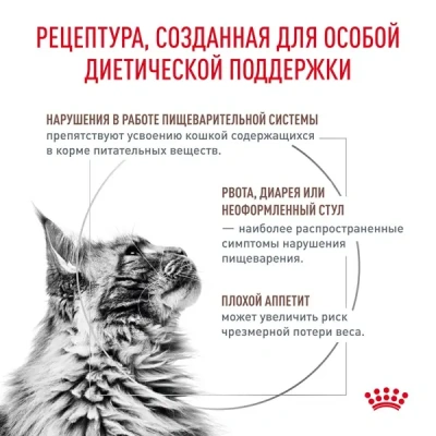 Royal Canin Gastrointestinal Сухой ветеринарный корм для кошек с нарушениями пищеварения, 2 кг