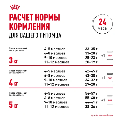 Royal Canin Sphynx Kitten Сухой корм для котят породы Сфинкс, 400 г