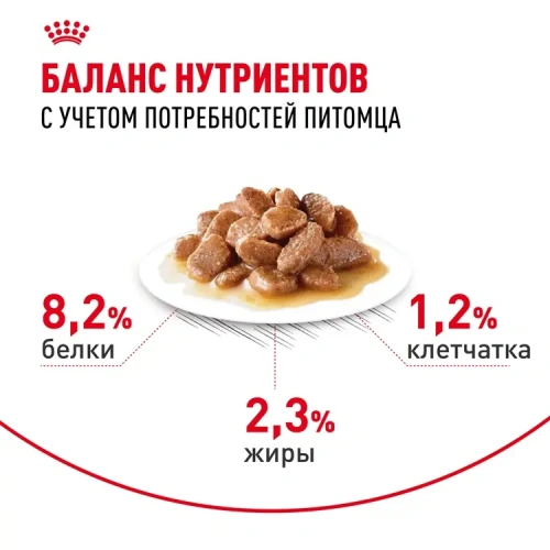 Влажный корм Royal Canin Appetite Control Care для кошек, контроль выпрашивания корма в соусе, 85гр