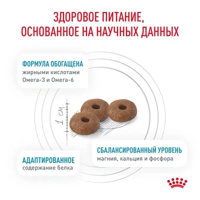 Сухой корм Royal Canin Skin & Coat для стерилизованных кошек с чувствительной кожей - 1,5 кг