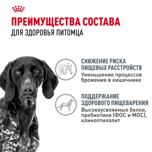 Сухой корм Royal Canin DIGESTIVE CARE для собак круп. пород для поддержания пищеварит. системы 3кг