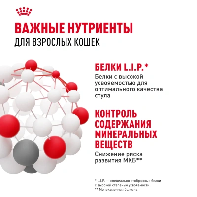 Влажный корм для кошек Royal Canin Indoor Sterilised кусочки в соусе, 85 г