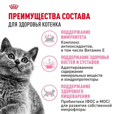 ROYAL CANIN British Shorthair Корм сухой для котят породы Британская короткошерстная, 400 г