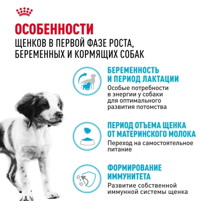 Сухой корм Royal Canin Medium Starter для щенков средних пород ,беременных и кормящих 4 кг
