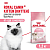 Сухой корм Royal Canin для котят 1,2 кг