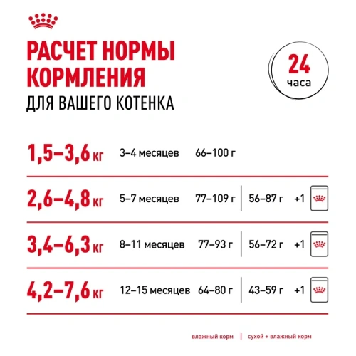 Влажный корм Royal Canin Maine Coon Kitten, корм для котят породы мейн-кун в соусе, 28*85 г