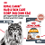 Royal Canin Intense Beauty Care Консервированный корм для кошек - красивая шерсть, соус, 85 г