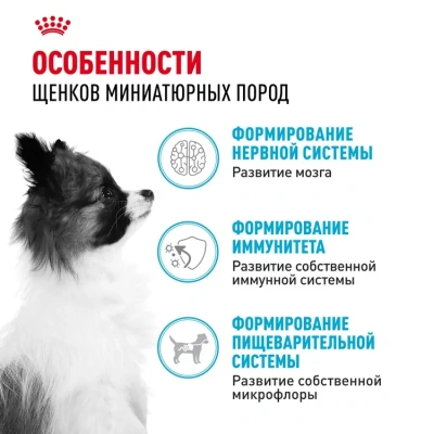 Royal Canin X-Small Junior Корм сухой для щенков миниатюрных пород, 1,5 кг