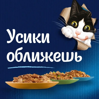 Влажный корм Felix Аппетитные кусочки для взрослых кошек, с курицей в желе 85 г