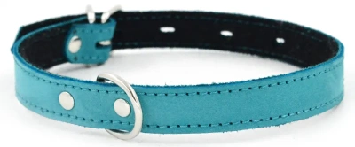 Ошейник 1111Б COLOR LINE 1сл 12 мм нубук/фетр длина 21-29 см бирюзовый