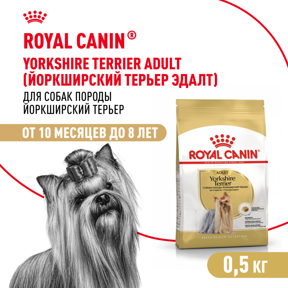 Royal Canin Adult Yorkshire Terrier Сухой корм для взрослых собак породы Йоркширский терьер, 500 г