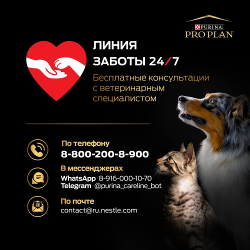 Сухой корм Purina Pro Plan для котят с курицей 1,5 кг + 2 пауча