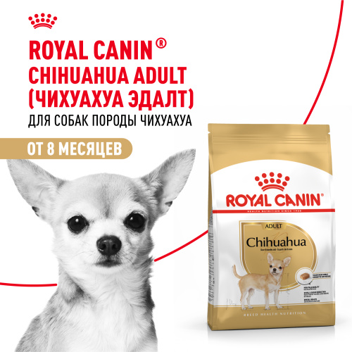 Royal Canin Chihuahua Adult Сухой корм для собак породы Чихуахуа, 1,5 кг