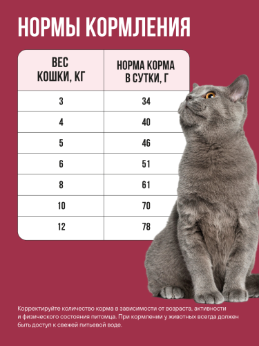 Корм BOWL WOW для стерилизованных кошек сухой полнорационный с индейкой и свеклой 400 г