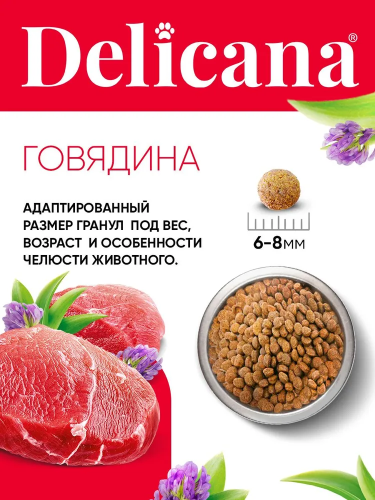 Сухой корм Delicana для собак мелких пород с говядиной 0,4 кг