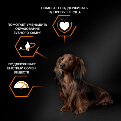 Purina Pro Plan Dog Small & Mini Adult Сухой корм для взрослых собак мелких и карликовых пород, курица и рис, 3 кг