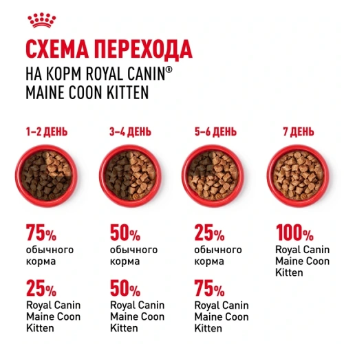 Влажный корм Royal Canin Maine Coon Kitten, корм для котят породы мейн-кун в соусе, 28*85 г