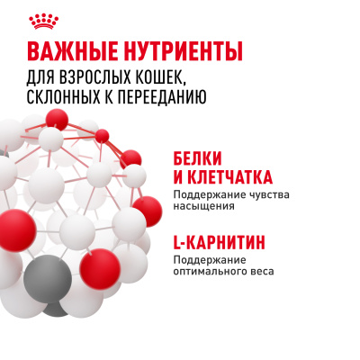 Влажный корм Royal Canin Appetite Control Care для кошек, контроль выпрашивания корма в желе, 85гр