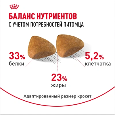 ROYAL CANIN Sphynx Корм сухой для кошек породы Сфинкс, 2 кг