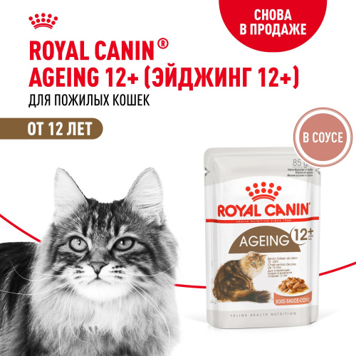  Royal Canin Ageing 12+  Консервированный корм для кошек старше 12 лет,  в соусе 28x85г.