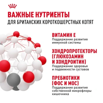 ROYAL CANIN British Shorthair Корм сухой для котят породы Британская короткошерстная, 400 г
