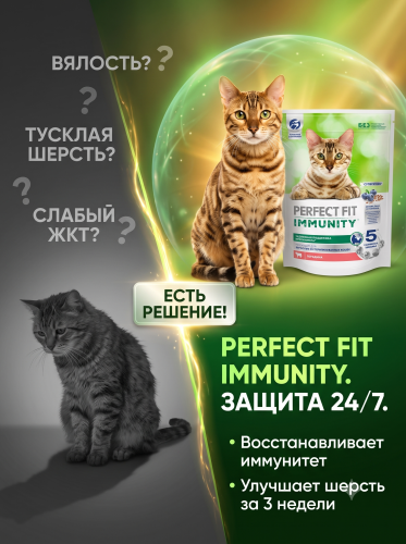 Сухой корм для кошек, для иммунитета с говядиной, сем. льна и голубикой 580г. Perfect Fit Immunity