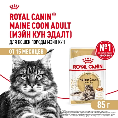 Royal Canin Консервированный корм для кошек породы Мейн Кун, кусочки в соусе, 85 г