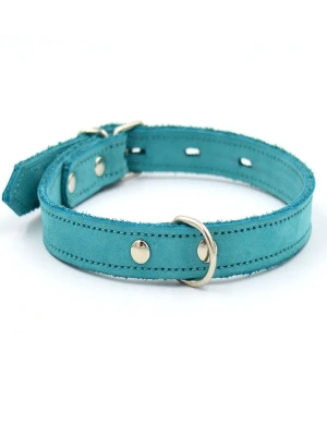 Ошейник 1122Б COLOR LINE 2сл 14 мм нубук длина 27-36 см бирюзовый