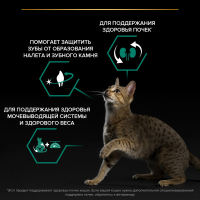 PRO PLAN Sterilised Сухой корм для стерилизованных кошек и кастрированных котов, с индейкой, 12 кг (10+2 кг)