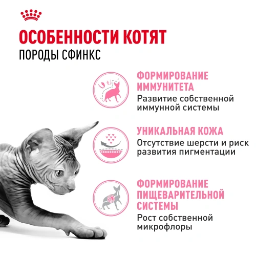Royal Canin Sphynx Kitten Сухой корм для котят породы Сфинкс, 400 г