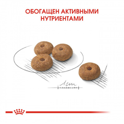 Royal Canin Mini Sterilised