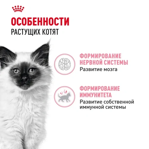 Royal Canin Kitten Консервированный корм для котят, кусочки в желе, 85 г