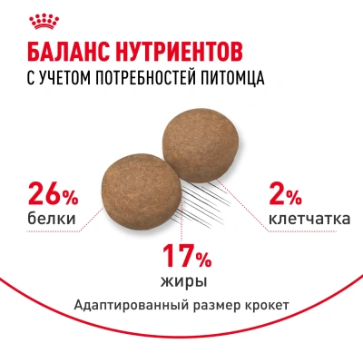 Сухой корм Royal Canin Maxi Adult для собак крупных пород старше 15 месяцев  3 кг