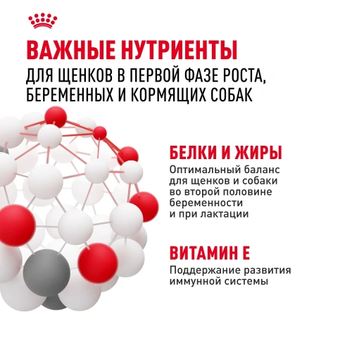 Сухой корм Royal Canin Medium Starter для щенков средних пород ,беременных и кормящих 4 кг