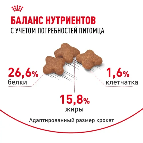 Сухой корм Royal Canin Adult Mini для пожилых собак мини пород 8+, 2 кг