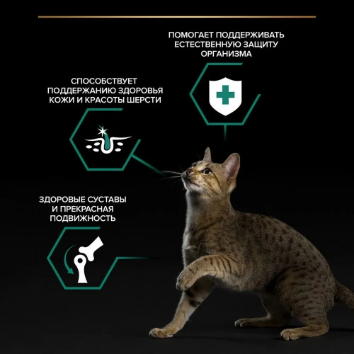 Влажный корм PRO PLAN для кошек  Курица в соусе  26x85г