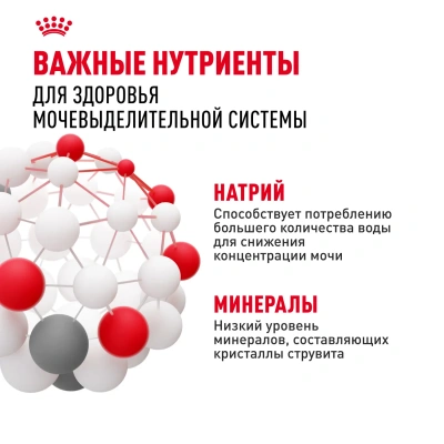 Сухой корм для собак мелких пород Royal Сanin Mini Urinary Care при мочекаменной болезни, 1 кг
