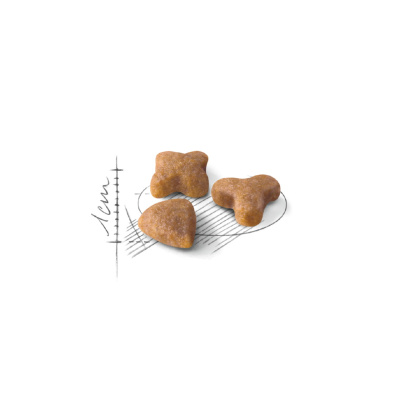 ROYAL CANIN Sensible 33 Сухой корм для кошек с чувствительным пищеварением, 400 г