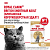 Royal Canin British Shorthair Консервированный корм для взрослых кошек породы Британская короткошерстная, 85 г
