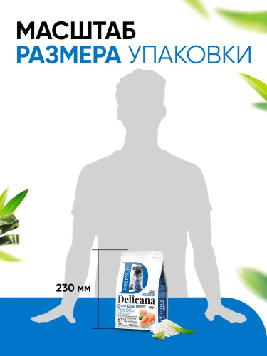 Сухой корм Delicana для собак мелких пород с лососем и рисом 0,4 кг