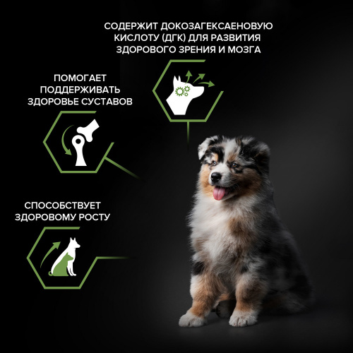 Purina Pro Plan Dog Medium Puppy Корм сухой для щенков средних пород, с курицей, 3 кг