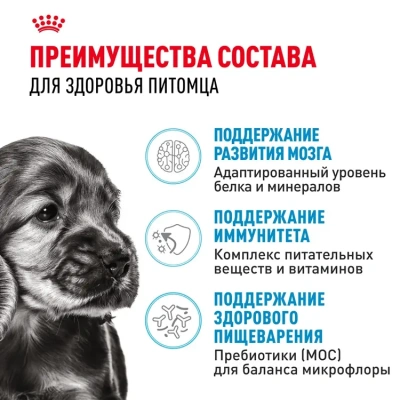 Royal Canin Mini Puppy Корм сухой для щенков мелких пород, 800 г