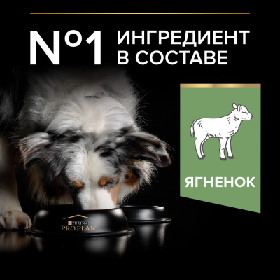 PRO PLAN DOG OPTIDIGEST Сухой корм для взрослых собак средних пород с чувствительным пищеварением, с ягненком 3 кг